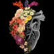 تیشرت Flower Heart Spring 