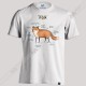 تیشرت Anatomy of a Fox 
