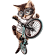 تیشرت BMX CAT 