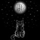 تیشرت The Cat & The Moon 