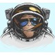 تیشرت Space Monkey 