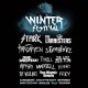 تیشرت Winter Festival