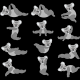 تیشرت طرح Koala Gym