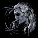 تیشرت The Witcher