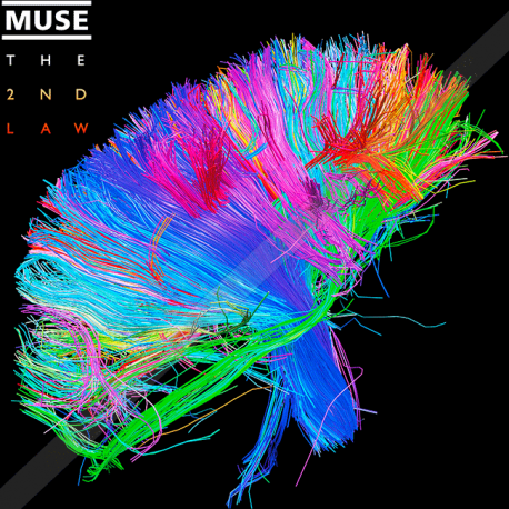 تیشرت muse the resistance