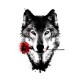 تیشرت طرح Wolf in Love