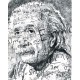 تیشرت طرح Albert