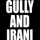 تیشرت طرح GULLY AND IRANI