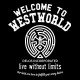 تیشرت طرح Welcome To The WestWorld
