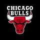 تیشرت Chicago Bulls