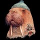 تیشرت طرح Tattooed Walrus