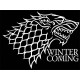 تیشرت Winter Is Coming Third Version